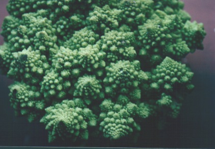Romanescu